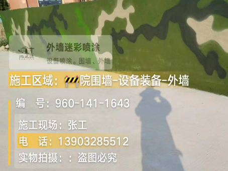 湖北 迷彩漆喷涂价格(按平方米计费)