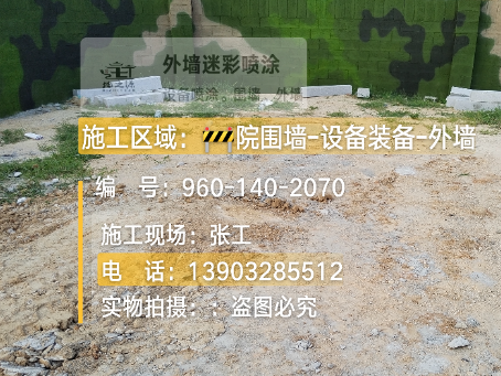 湖北迷彩漆喷涂方法（通用 + 数码专项