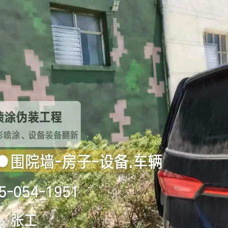湖北数码迷彩漆施工